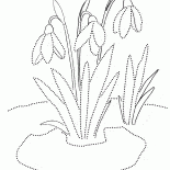 Kolorowanka Lilac Kwiaty