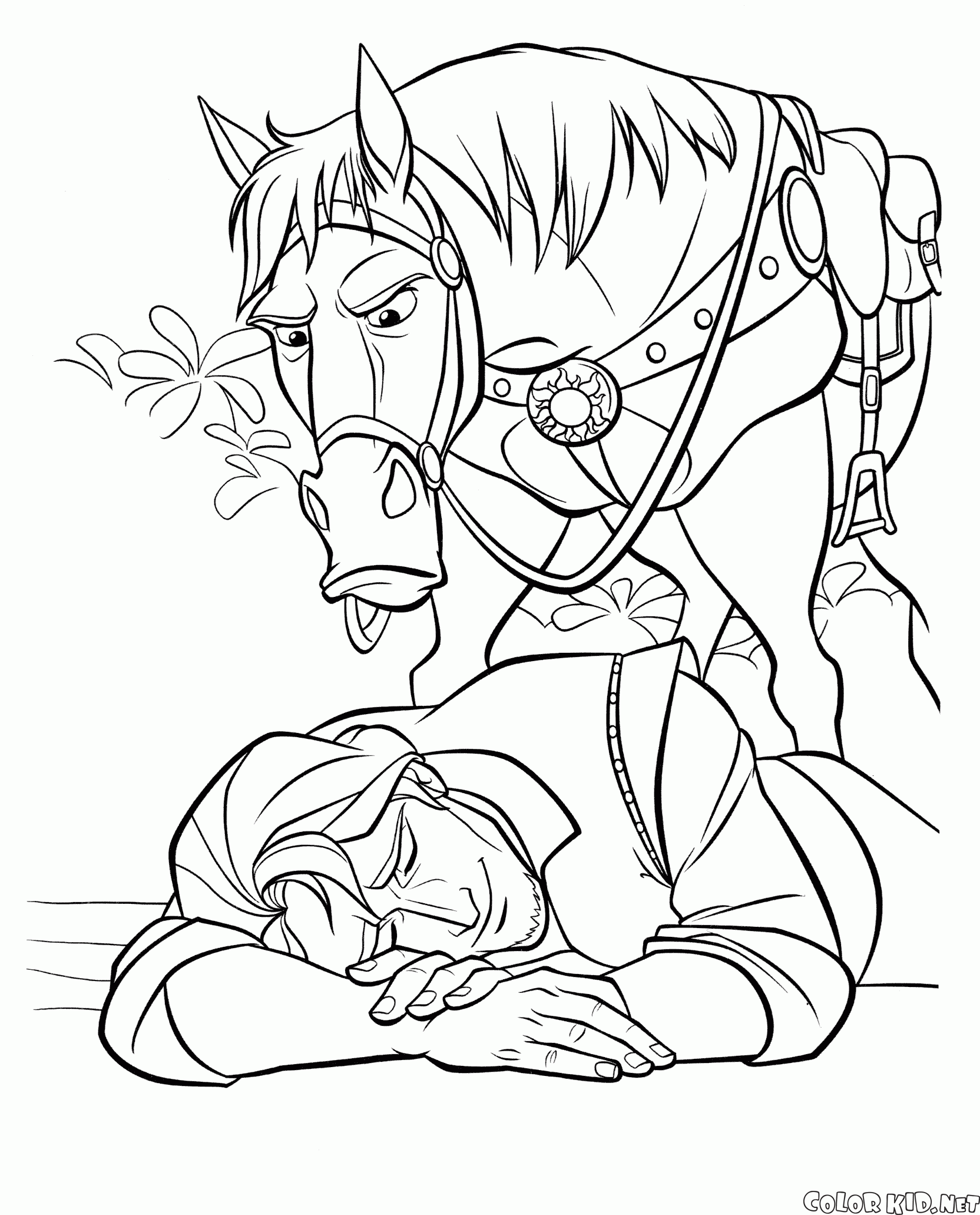 Koń i Flynn