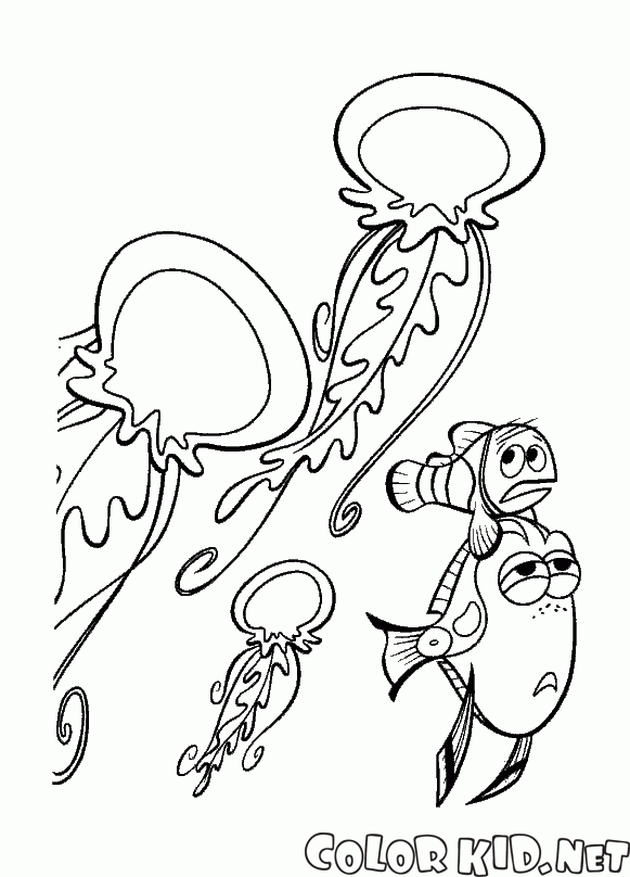 Naznaczony meduzy