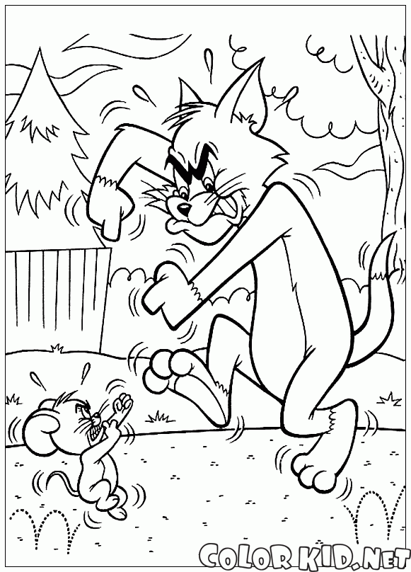 Sparing Tom i Jerry