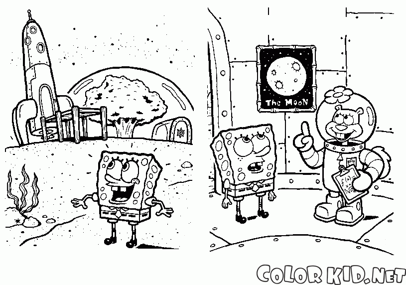 SpongeBob i Wiewiórki