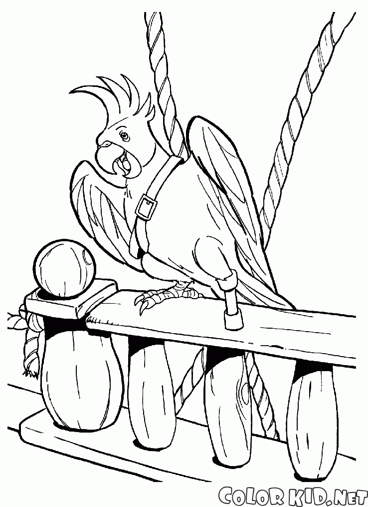 Flinta Parrot