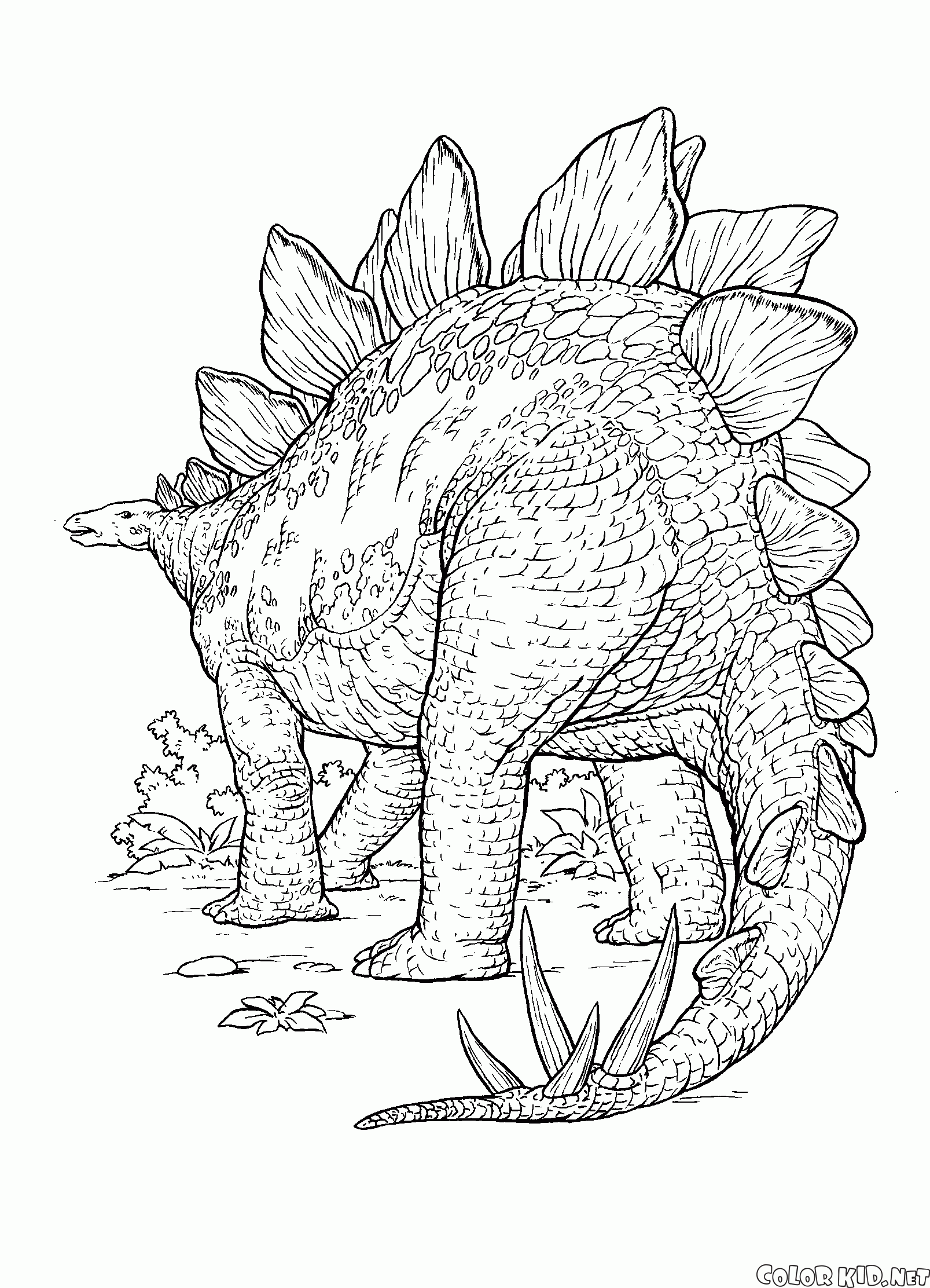 Dinozaur z ostrymi cierniami