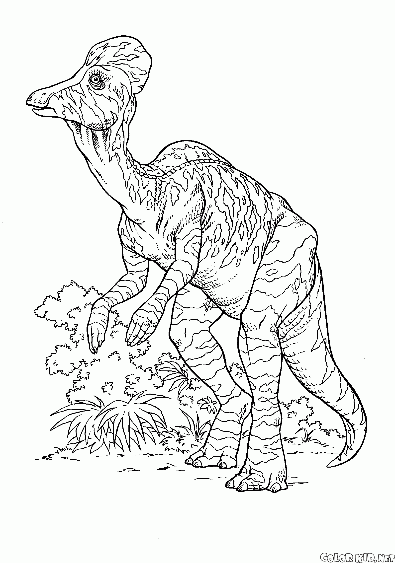 Korytozaur