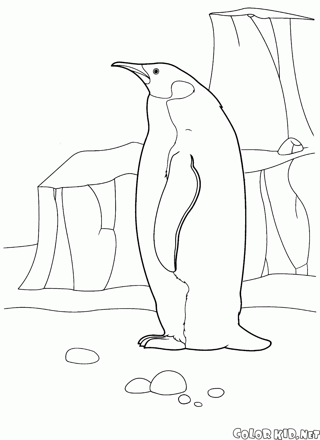 Penguin w Arktyce