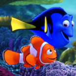 Gdzie jest Nemo?