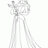 Aurora i Rose