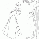 Aurora w lesie