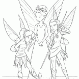 Królewski Fairy