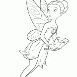 Wonder Pije