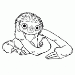 Małe zwierzęta domowe