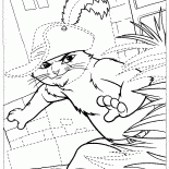 Kot w butach na polowaniu