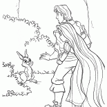 Las króliczek