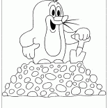 Funny Mole