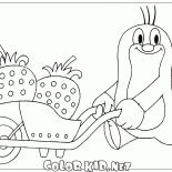 Mole i truskawki