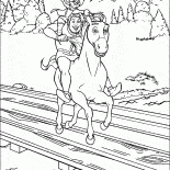 Kot i Shrek na osiołku