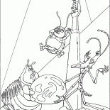 Circus show