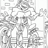 Michelangelo i motocykli