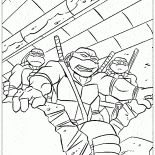 Żółwie w kanałach