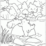 Niedźwiedź Lars