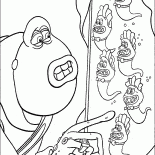 Toad i kijanki