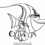 Blizna i Nemo