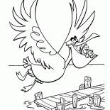 Pelican i ryby