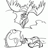 Pelican polowanie