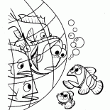 Dori Internecie