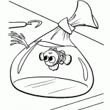 Nemo w opakowaniu