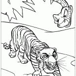 Shere Khan i Kaa