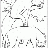 Baloo i Bagheera znaleźć