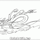 Mushu i krykieta na wodzie