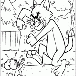 Sparing Tom i Jerry