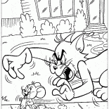 Tom łapie Jerry