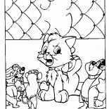 Kitten w kłopoty