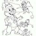 Chip i Dale w lesie