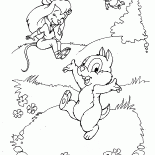 Dale, Zipper i gadżet