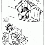 Latanie buda dla psa