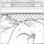 Opatrzone aresztowany