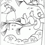 Wiewiórki i Niedźwiedź