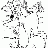 Serce