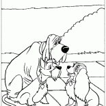 Zakochany kundel przyjaciele