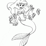 Ariel i koniki morskie