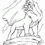 Simba na skale