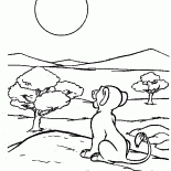 Simba i słońce