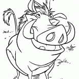 Pumba i zabawne Surykatka