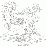 Tea Party z Cheshire Cat