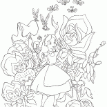 Fairy Rose