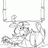 White Rabbit pływaków